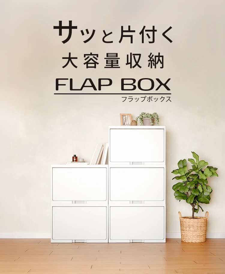FLAP BOX フラップボックス