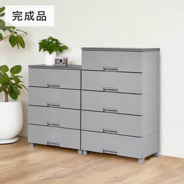 ソフィー フィッツチェスト フィッツチェスト テンマフィッツワールド