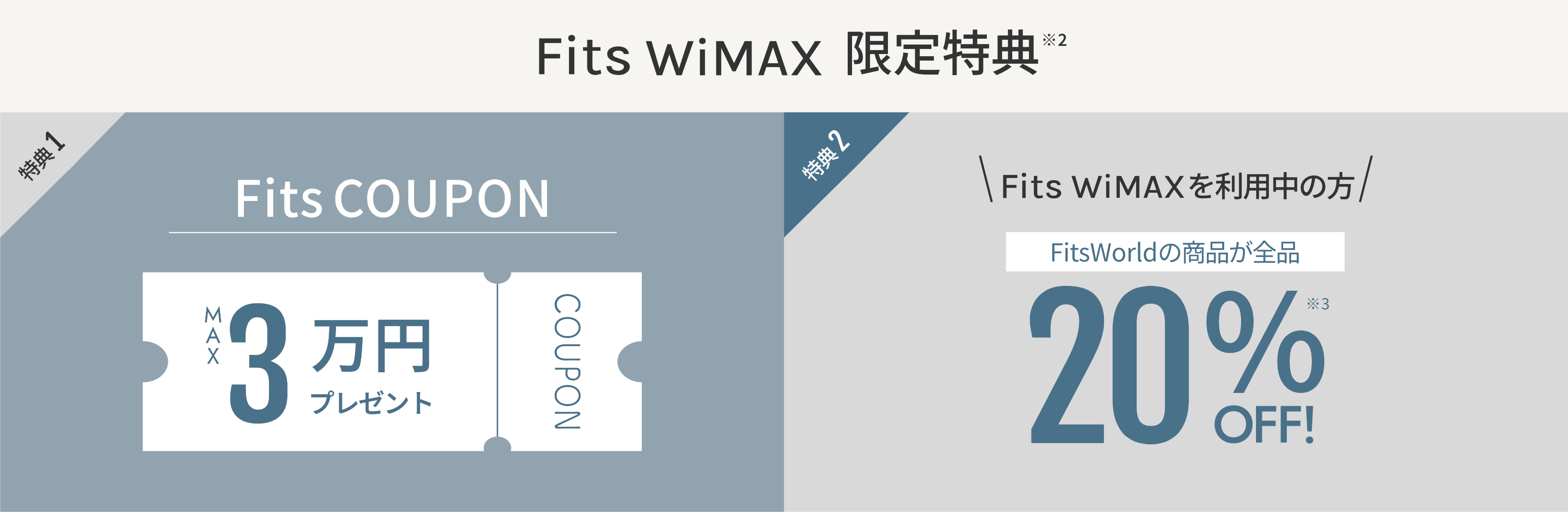 FitsWiMAX限定特典、MAX 30,000円プレゼント、1年間FitsWolrdの商品が全品30%オフ